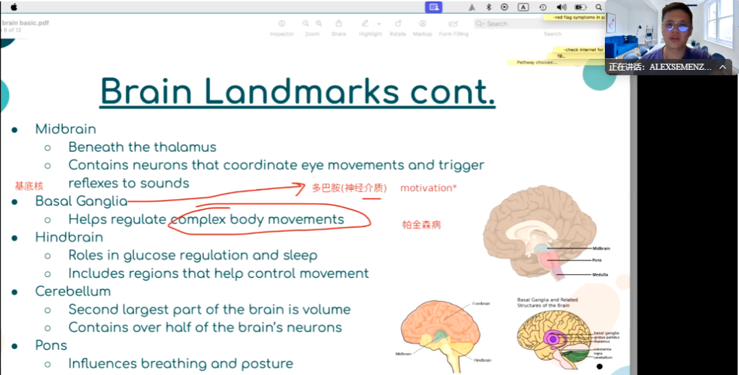 2026年BrainBee脑科学竞赛考试时间定了！明年考试有哪些变化？附机构Brainbee脑科学竞赛培训课程