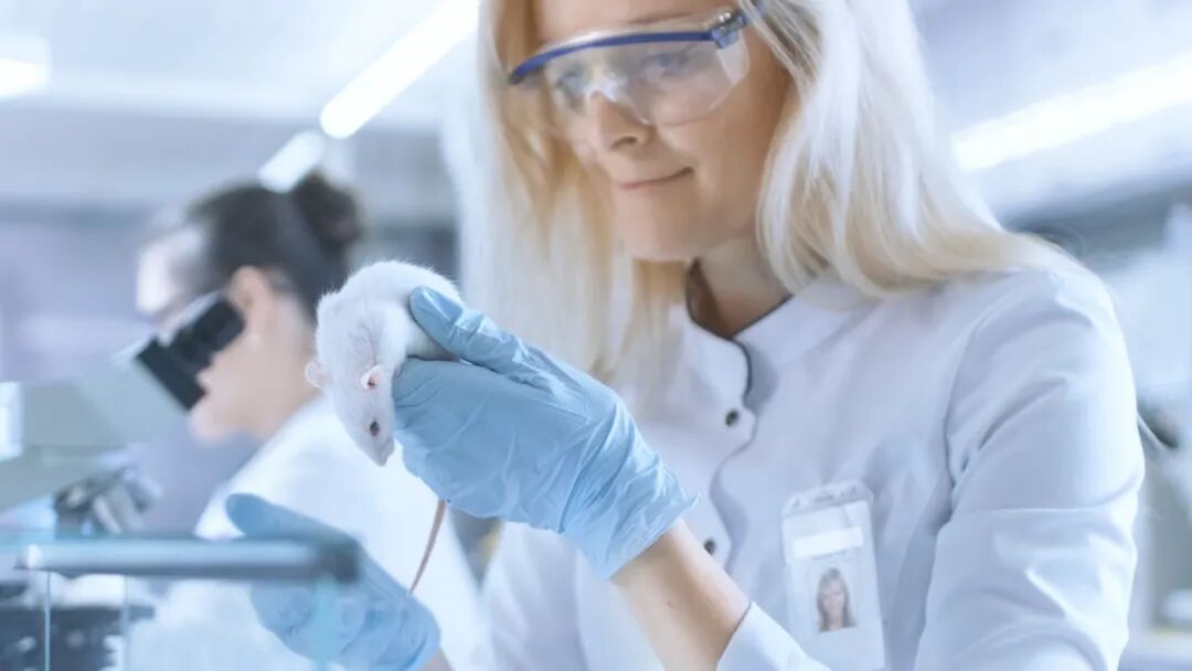 科研合集：医学/生物/分子生物学/基因工程...一席难求的实验室科研项目，速进！