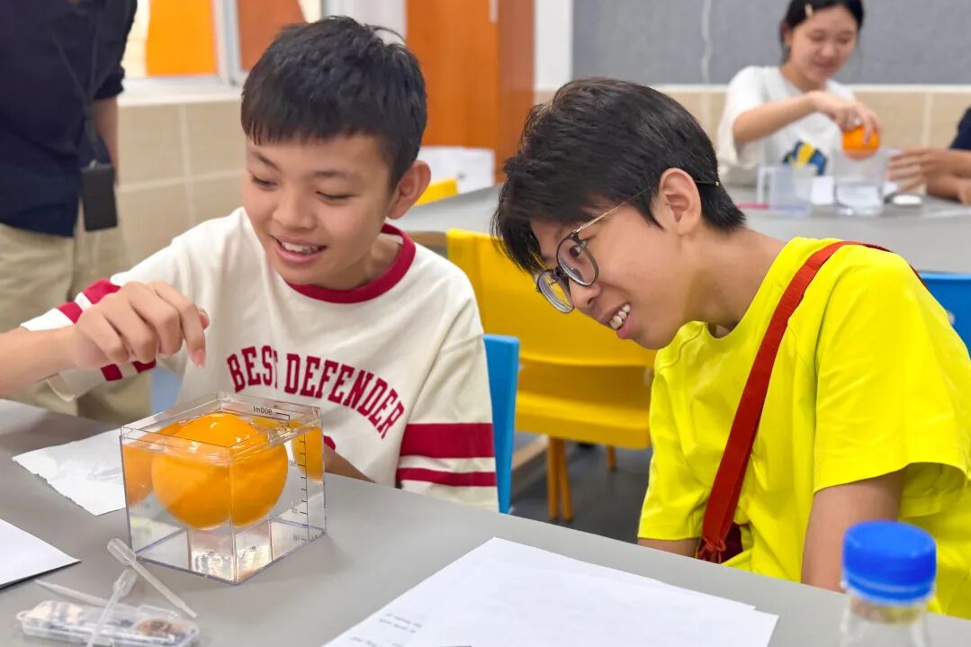 开放日回顾 | 深度体验DSE课程魅力，见证孩子成长的无限可能