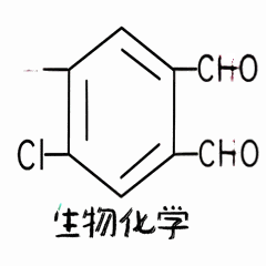 选对专业，“钱”途无量！揭秘2025年回报率最高的五个大学专业