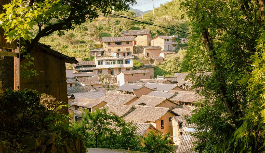 全球人类学硕博项目盘点——亚洲、澳洲、拉美篇