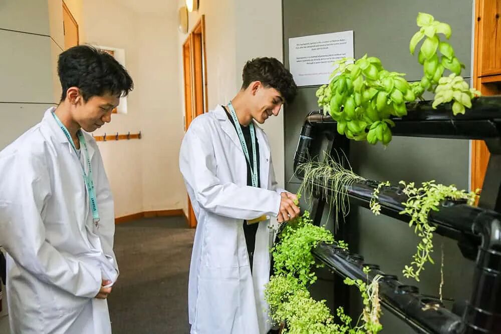 打卡艾玛母校！与牛津大学毗邻而居的学校：海丁顿中学英语及职业探索夏校
