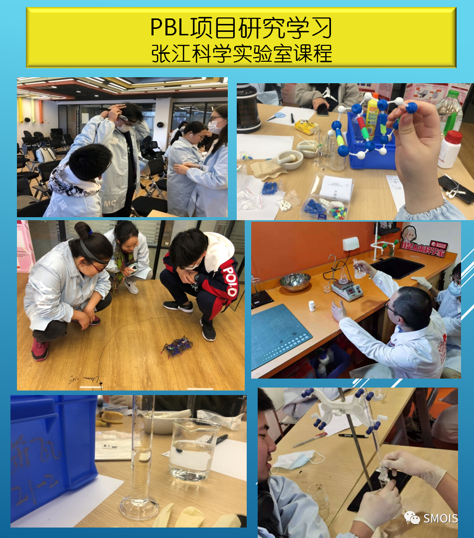 上海蒙校DSE课程｜2026年春季学期招生简章