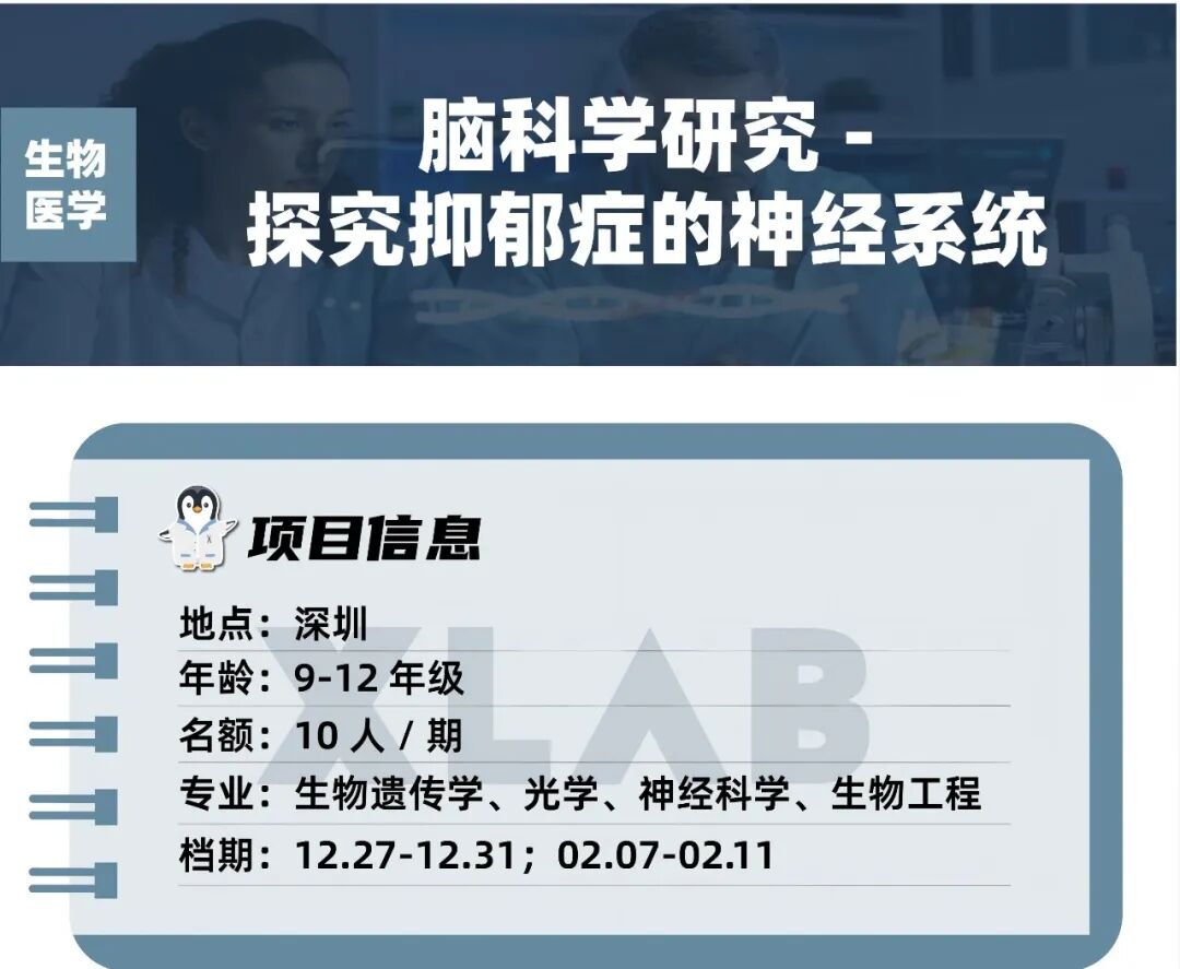 【生物医学科研】脑科学探究抑郁症的治疗新方向