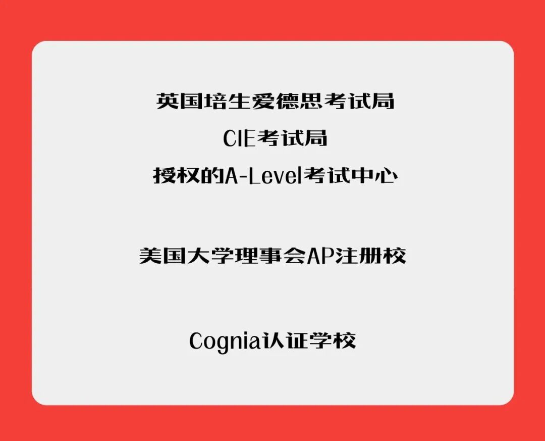上海市文来高中2026学年招生公告