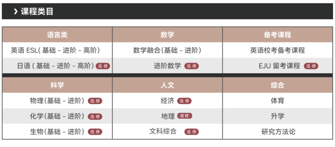 上海市文来高中2026学年招生公告
