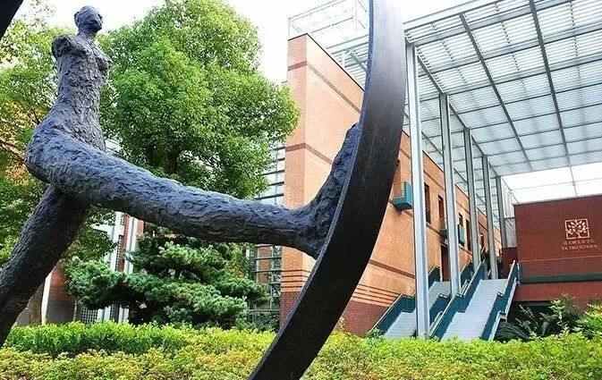在上海读国际学校，为何卷？怎么赢？—— IB/AP/A-Level选择策略与竞赛突围指南~