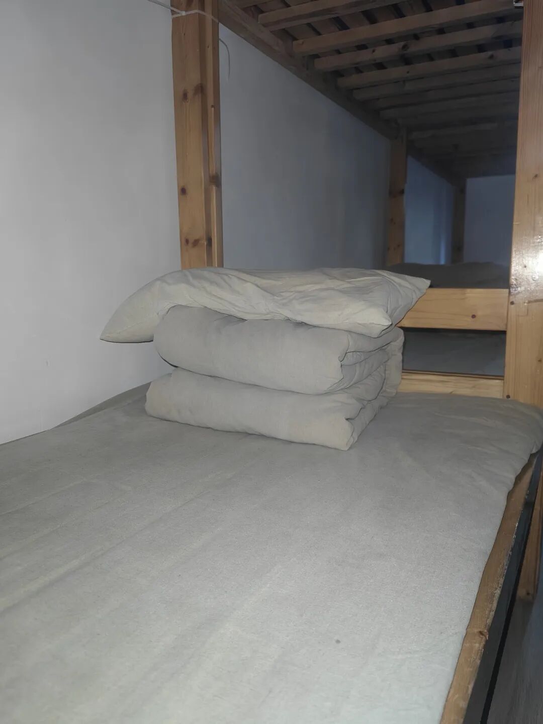 拆盲盒啦！“青春遇稻奉贤”限定版——美达菲高二学子解锁农耕与科技的双向奔赴