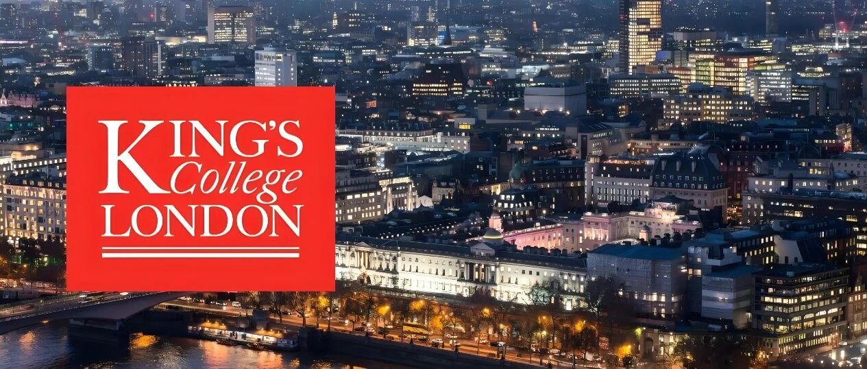 英国6个月兼职研究助理RA项目