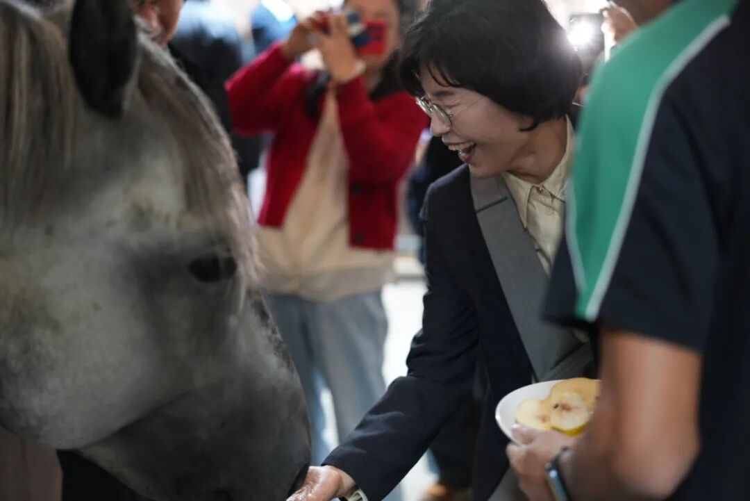 中韩学者共话南社文化，苏州阿德成为国际学术交流重要窗口！
