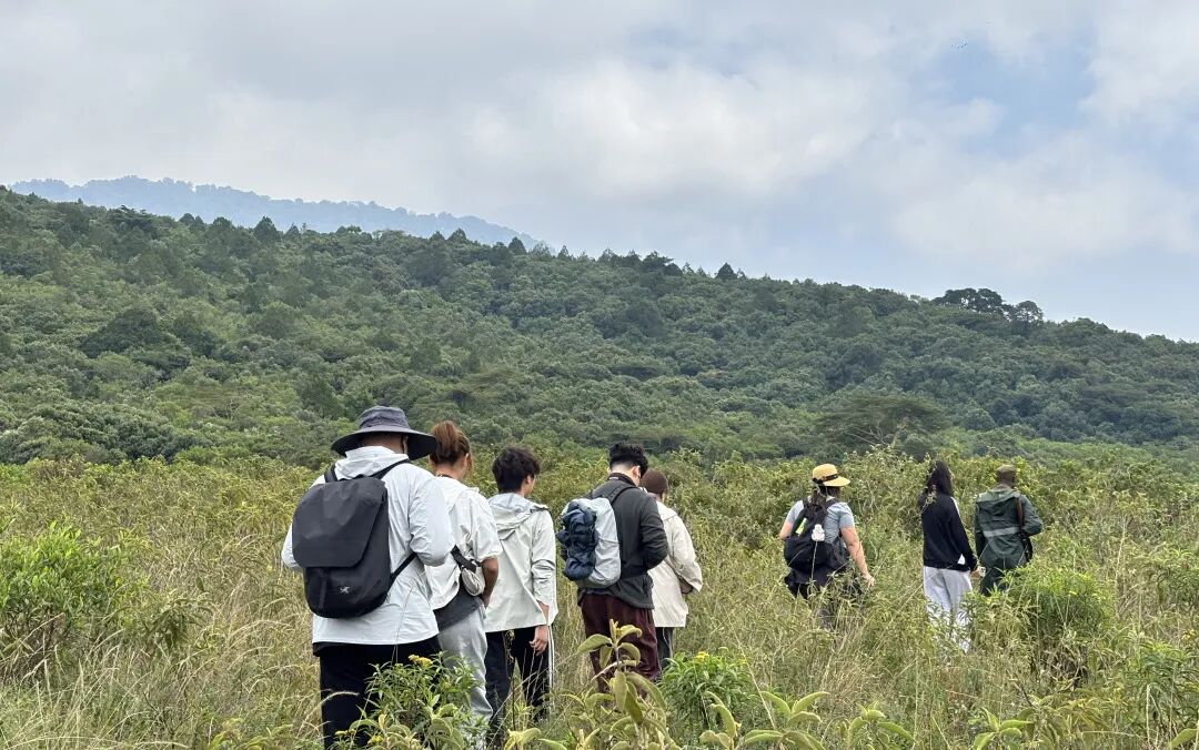 【狂野东非】到坦桑尼亚，撞开野生动物世界的大门！