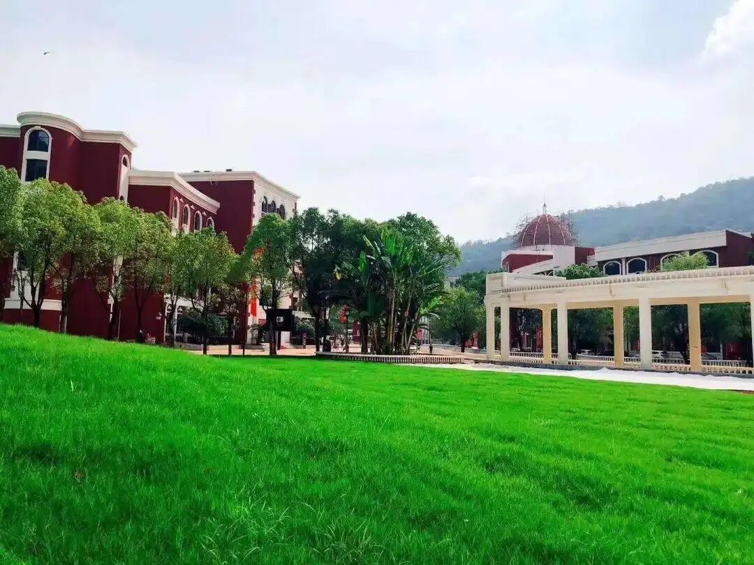 2025 FALL | 完整「秋季线下赛」城市场地揭晓！