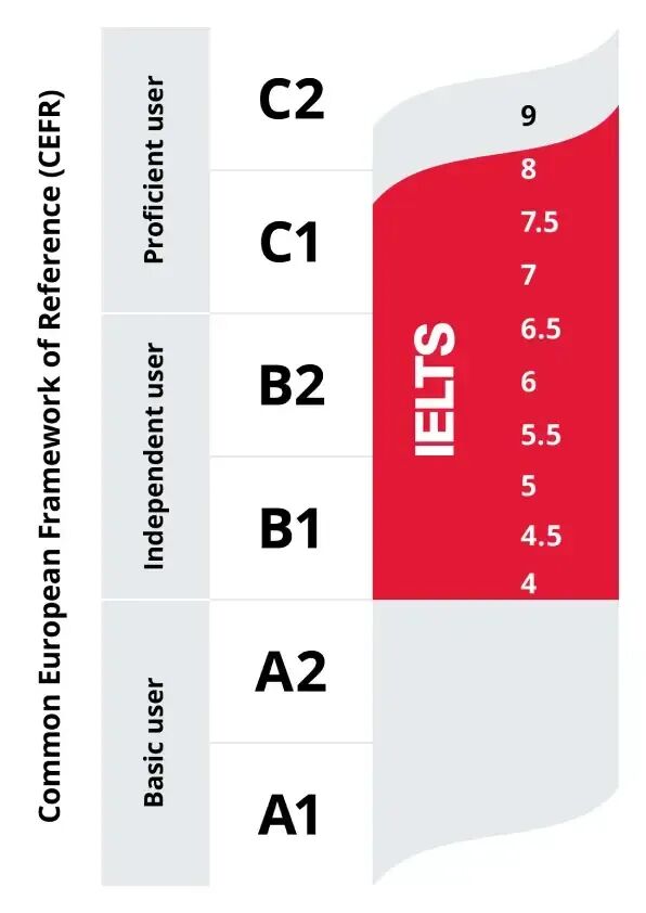 英国政府即将推出严格新规：没有A-level水平英语的移民无法在英国工作！！！