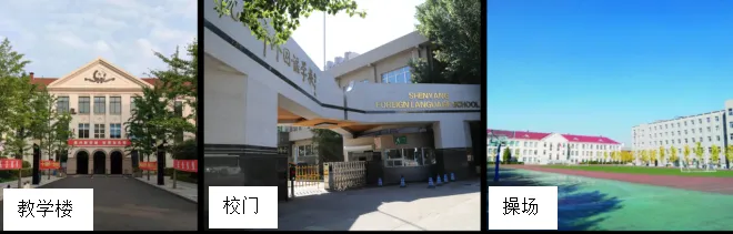 沈阳国际高中|沈阳市外国语国际部2026年招生简章！开设加拿大OSSD2+1，日本、俄罗斯课程！