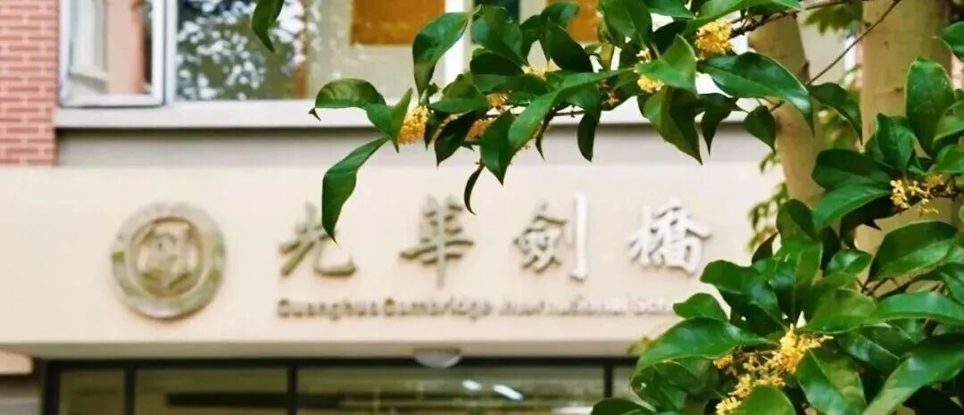重磅！上海平和重拳出击，国际学校的“手机自由”时代走到头了？