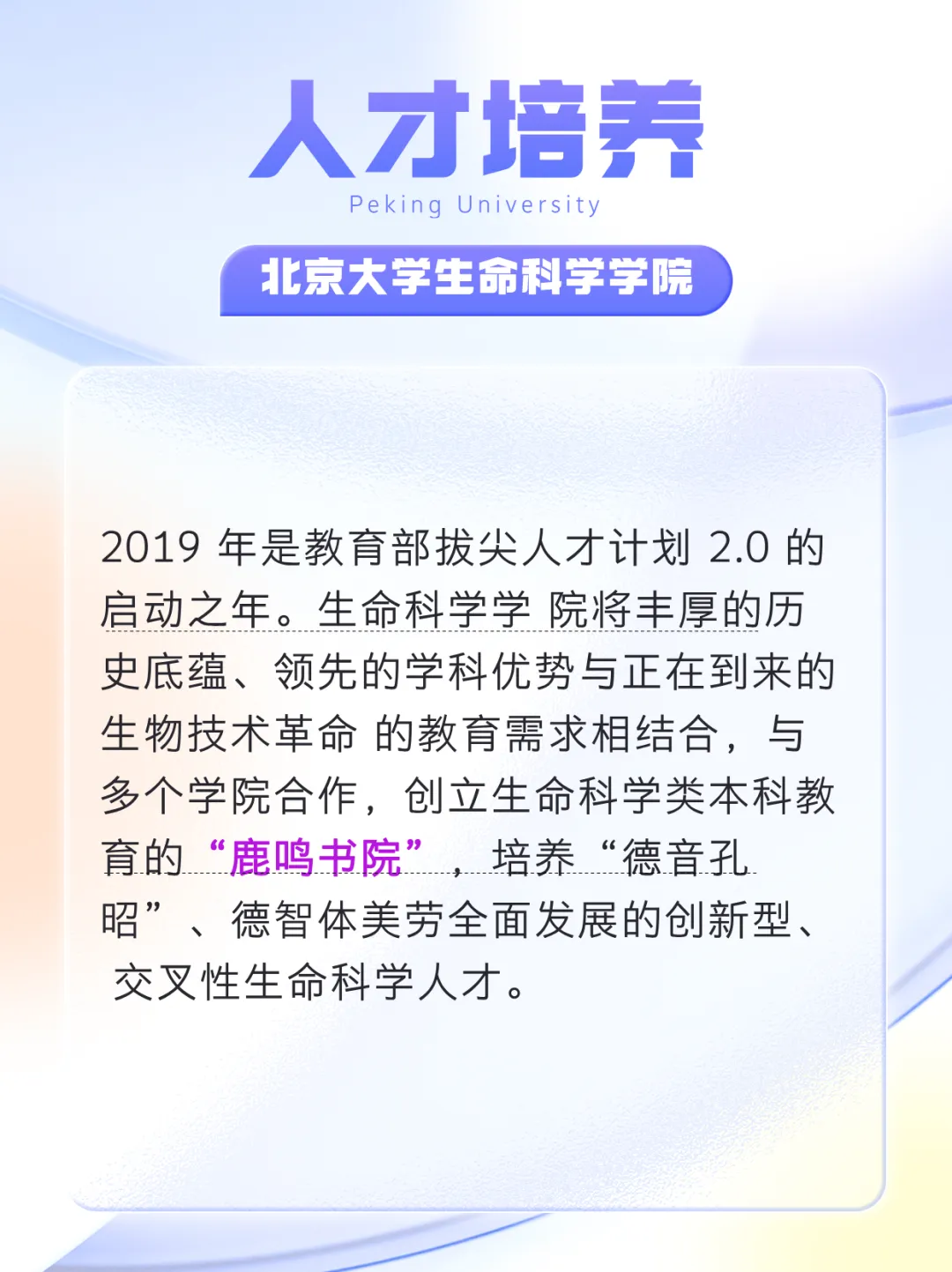 北大VS清华，历届IBO选手更倾向哪所高校？