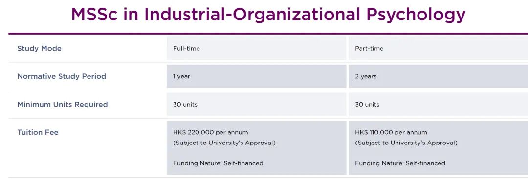 最新汇总！26Fall港五新二新增一堆超香专业（一）