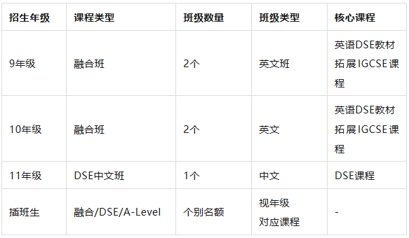 上海香港DSE课程高中|TICC存志学校2026年入学考试报名