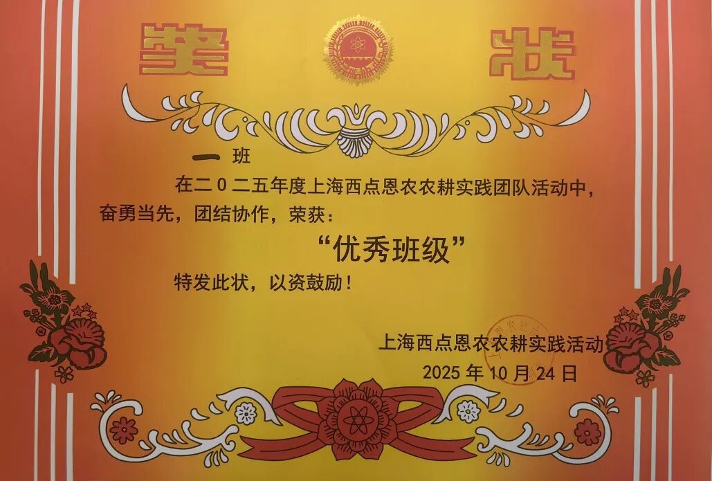 拆盲盒啦！“青春遇稻奉贤”限定版——美达菲高二学子解锁农耕与科技的双向奔赴