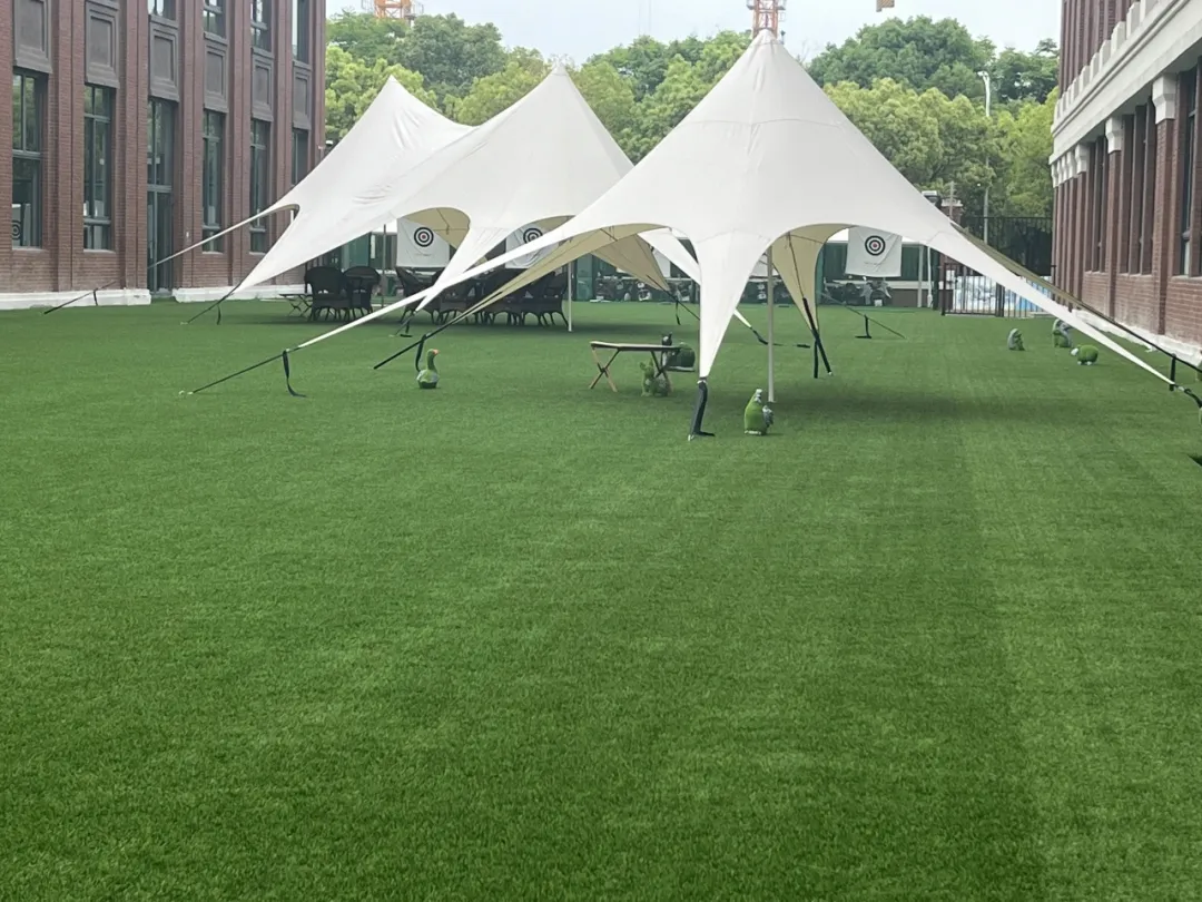 苏州香港DSE高中｜苏州市吴江区世恒学校香港DSE课程“港大班”2026年招生简章！