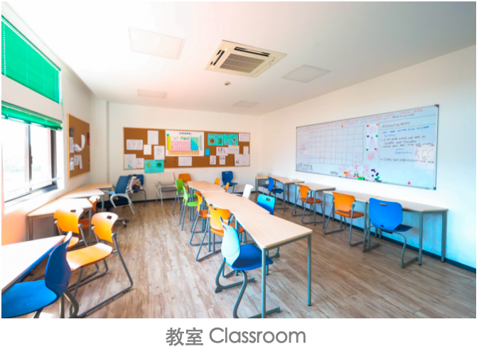 上海励滕伯克曼-上海纯美式的AP学校! 上海励滕伯克曼-上海纯美式的AP学校!