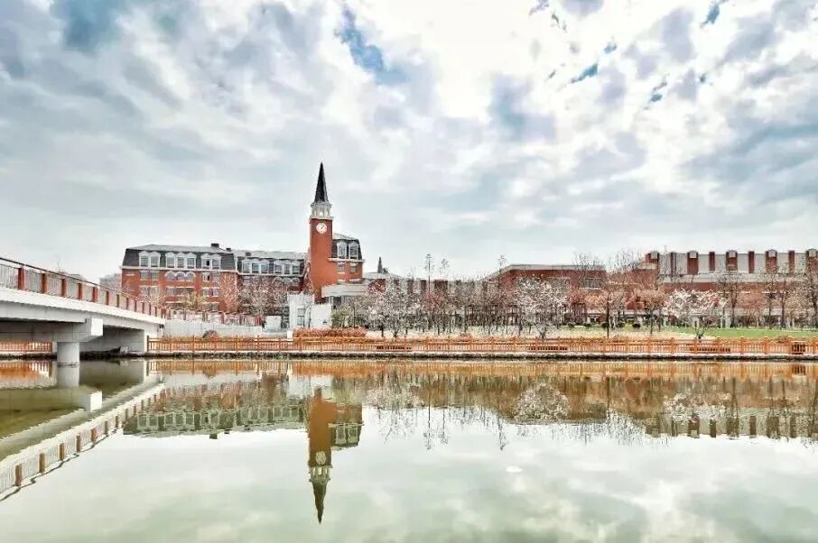 择校必看:深度解析上海金山区世外学校的课程体系与升学优势 择校必看:深度解析上海金山区世外学校的课程体系与升学优势