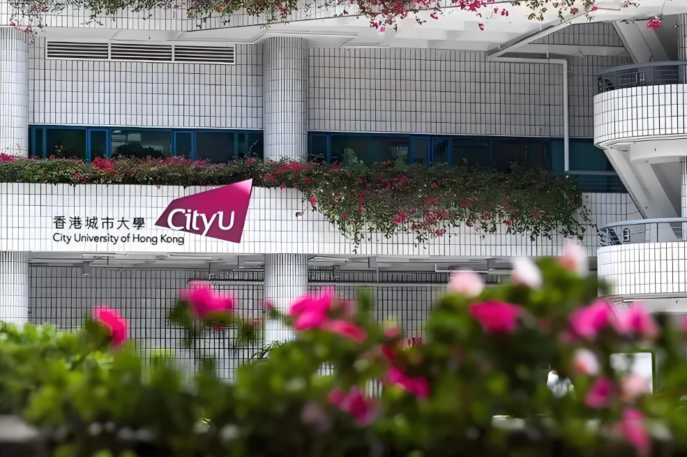 香港城市大学全奖博士项目（Hok Yin CHAN教授）