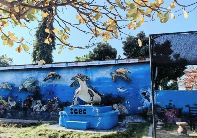 【赤道瑰宝·斯里兰卡】伫立“赤道之心”,开启一场环岛自然生物与人文的深度考察! 【赤道瑰宝·斯里兰卡】伫立“赤道之心”,开启一场环岛自然生物与人文的深度考察!