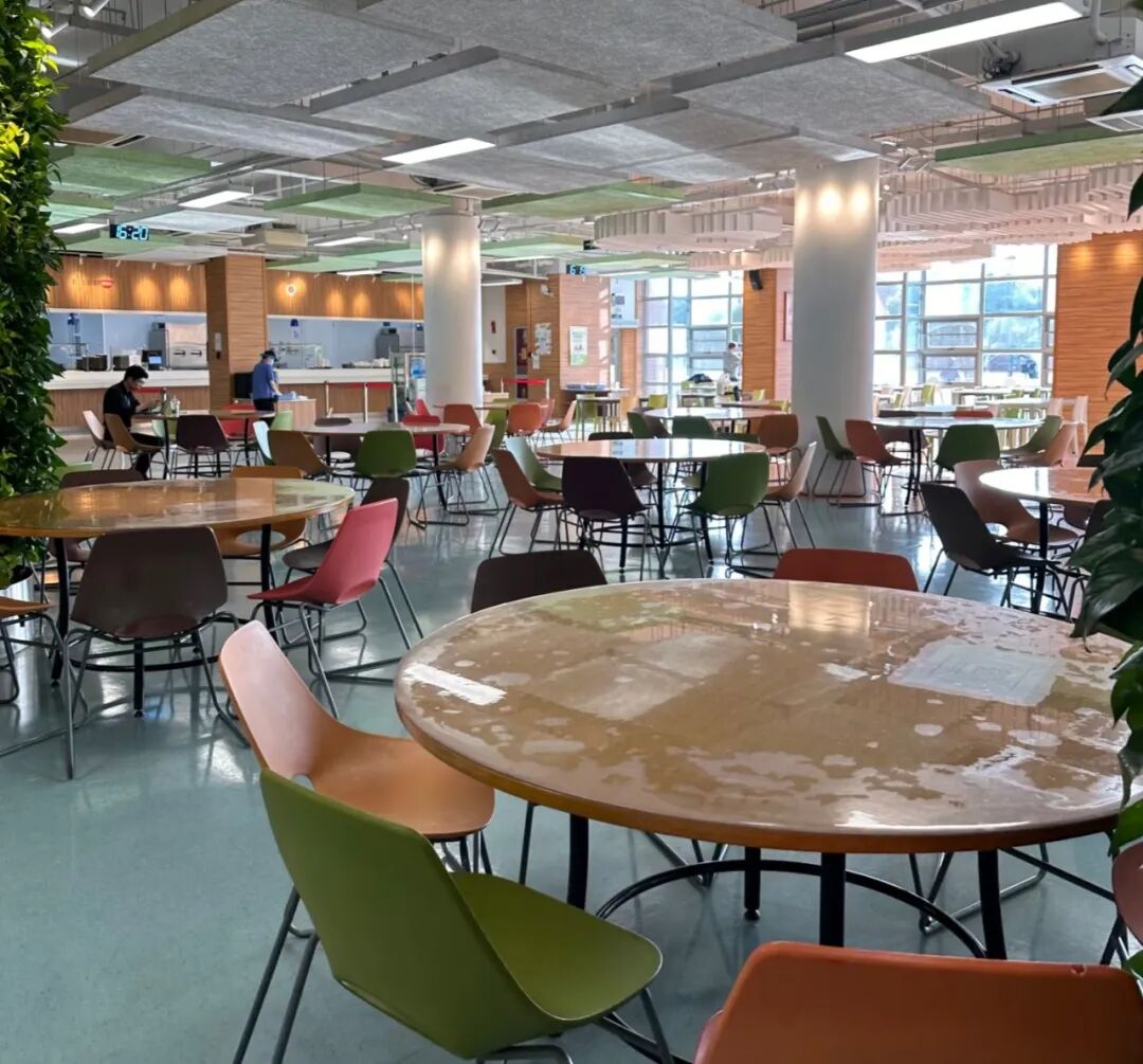 天津国际学校择校指南：十大名校全景解读，找到最适合孩子的那一所！