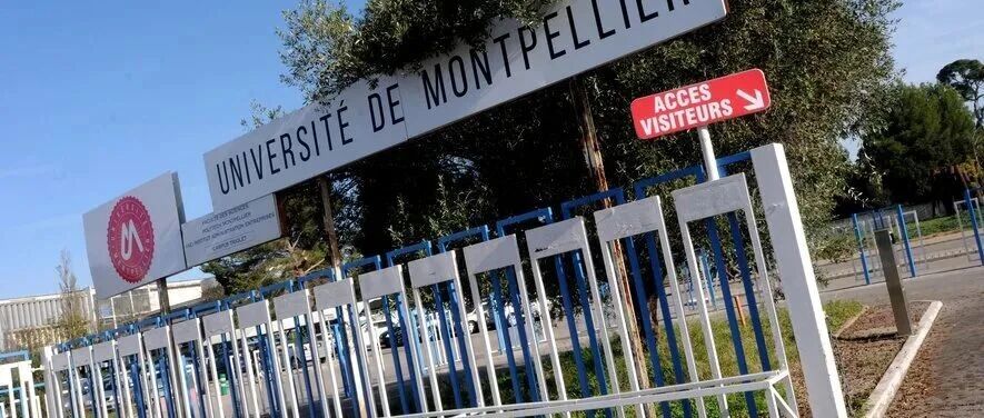 法国公立大学预科项目：蒙彼利埃大学本科经济学预科 Diplôme Universitaire