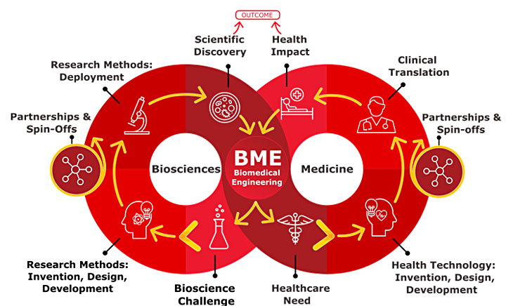 就读体验 | 转专业进入专排第一“黑马”项目!JHU生物医学工程到底有多少含金量? 就读体验 | 转专业进入专排第一“黑马”项目!JHU生物医学工程到底有多少含金量?