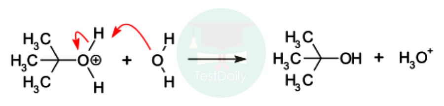 UKChO有机机理不会？从亲核取代反应带你学第二篇：SN1反应