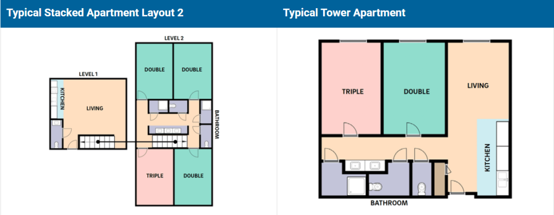 【藤莘科普】UCSD的“哈利波特”分院制：八个学院，八种人生，你该Pick谁？