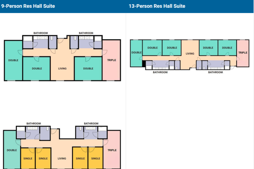 【藤莘科普】UCSD的“哈利波特”分院制：八个学院，八种人生，你该Pick谁？