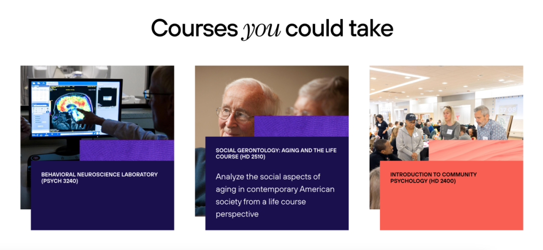 为何人类发展（Human Development）是未来变革者的理想专业？