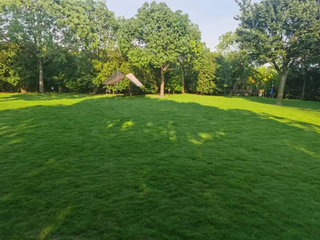 上海日本高中 | 2026年朝阳义塾春季招生简章! 上海日本高中 | 2026年朝阳义塾春季招生简章!