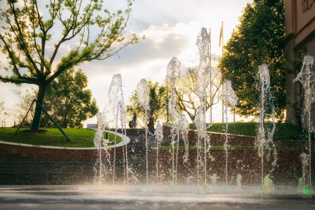 上海星河湾双语学校开设美高AP课程