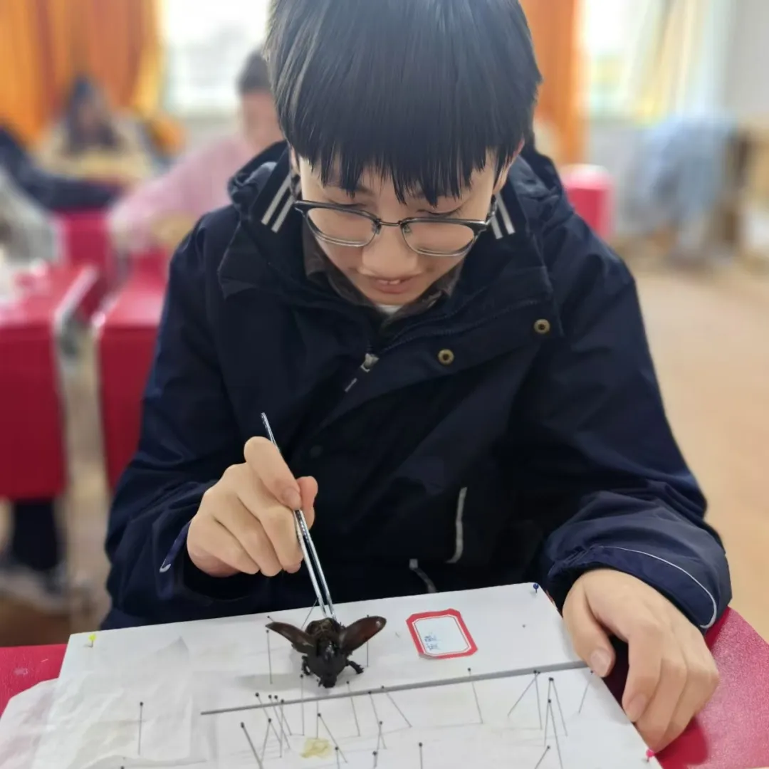 南京国际高中|南理工紫金学院OSSD&A-level、日本课程2026年招生简章！学费8万一年！