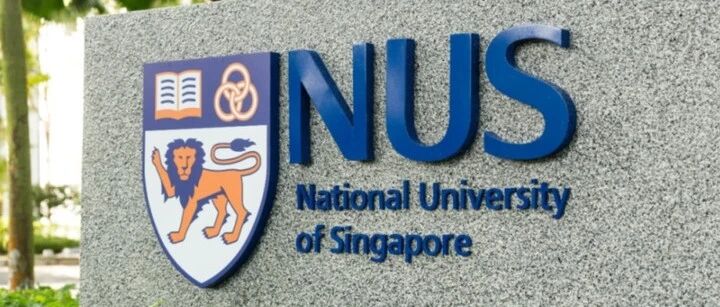 新加坡研究助理RA项目