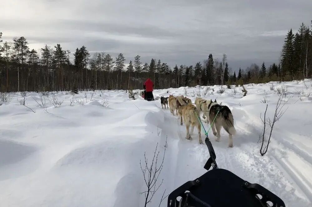 探访英国私校之-Dauntsey's School｜独特的航海与探险课程，培养艺术之秀，被评英国最好的舞蹈学校之一