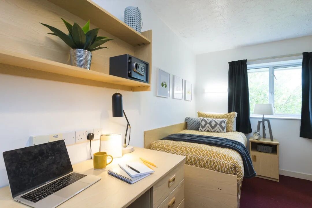 “学艺术也能爬藤”?一文揭秘剑桥文理与剑桥艺术中国 “学艺术也能爬藤”?一文揭秘剑桥文理与剑桥艺术中国