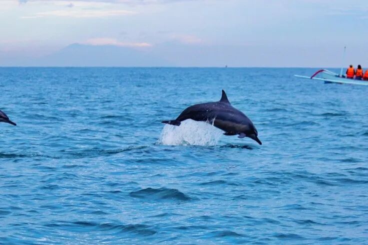 【实地研究+3500字国际学术期刊论文发表】用行动回应社会议题,提高升学竞争力 【实地研究+3500字国际学术期刊论文发表】用行动回应社会议题,提高升学竞争力