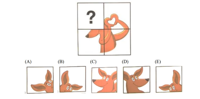 2025年袋鼠数学竞赛真题及答案解析（A等级）！