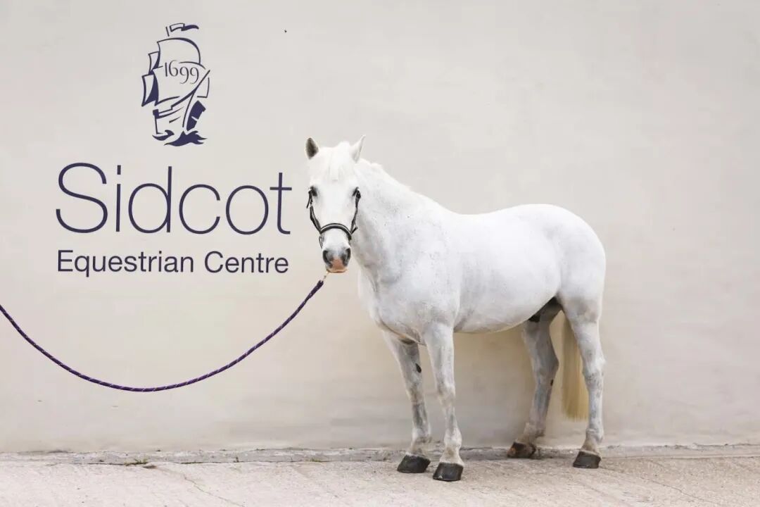 Sidcot School|全英最佳马术运动名校之一,AL/IB双体系,科学、数学和创意艺术享盛誉 Sidcot School|全英最佳马术运动名校之一,AL/IB双体系,科学、数学和创意艺术享盛誉