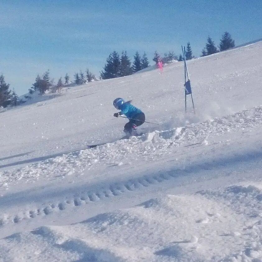 Sidcot School|全英最佳马术运动名校之一,AL/IB双体系,科学、数学和创意艺术享盛誉 Sidcot School|全英最佳马术运动名校之一,AL/IB双体系,科学、数学和创意艺术享盛誉