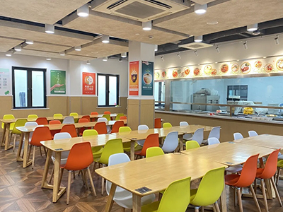 上海美高双语学校:艺术爬藤、多元课程宝藏国际学校 上海美高双语学校:艺术爬藤、多元课程宝藏国际学校