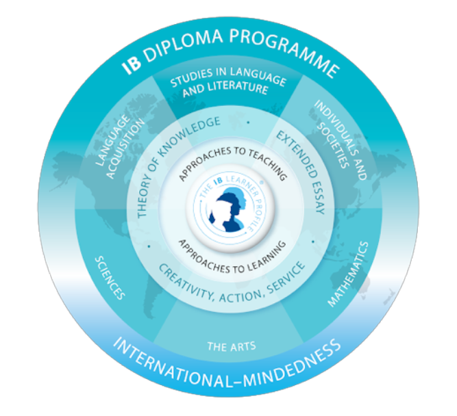 上海国际学校 | 圣华紫竹学院 上海国际学校 | 圣华紫竹学院