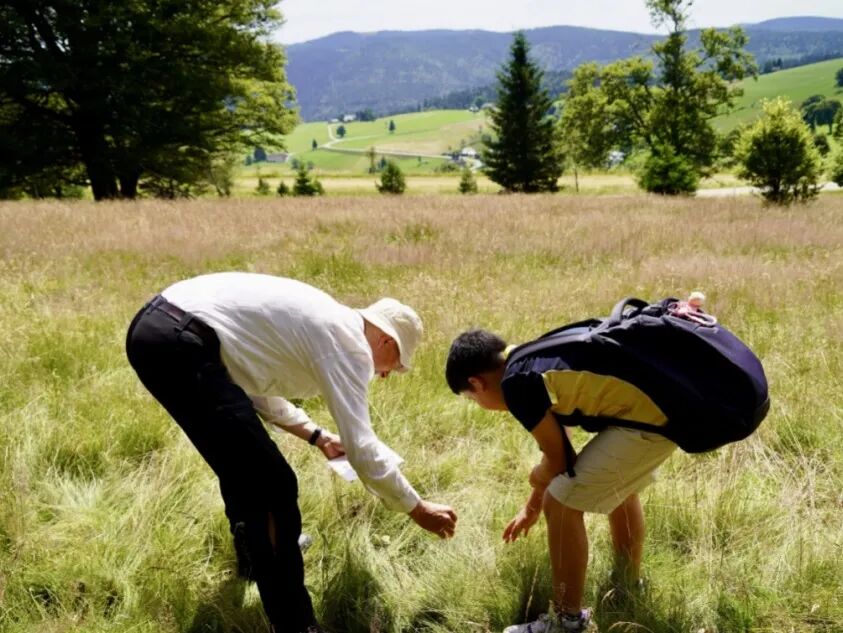 阿思丹国际菁英计划报名中！英欧澳新日五大项目地任你选，有机会获得UCAS 认证 buff！