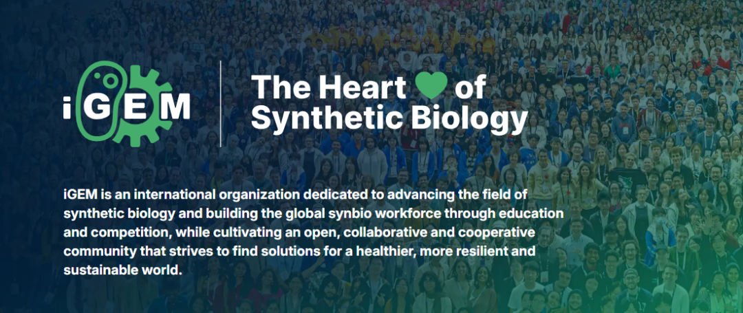 杀疯了！一举多得的iGEM竞赛到底有多香？一篇带你全面剖析！