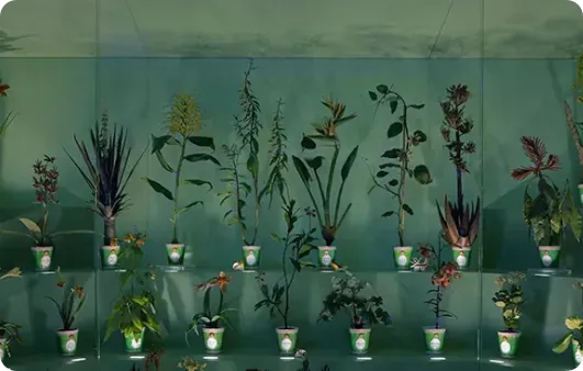 意大利「艺术管理」专业从理念到院校:在桥梁建起之前,你已是桥梁上的一颗珍珠。 意大利「艺术管理」专业从理念到院校:在桥梁建起之前,你已是桥梁上的一颗珍珠。